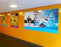 Large wall graphics